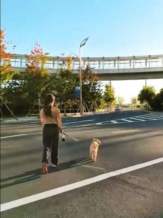 有时适当退一步,既成全了别人 也放过了自己 #日常遛狗 #萌宠#牵引绳
