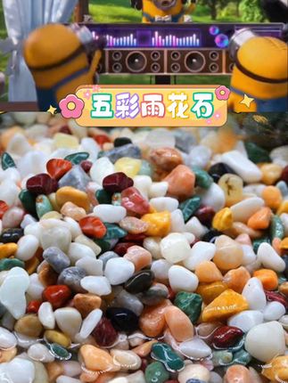 天然石材质感温润。五彩色泽点缀空间。鱼缸造景增添生趣。多肉铺面透气美观。水培铺底稳固实用。大小均匀适配多种场景。细腻质感呵护植物根系。居家装饰自然雅致。 ,#天然雨花石 #鱼缸造景 #多肉铺面 #水培装饰 #居家好物