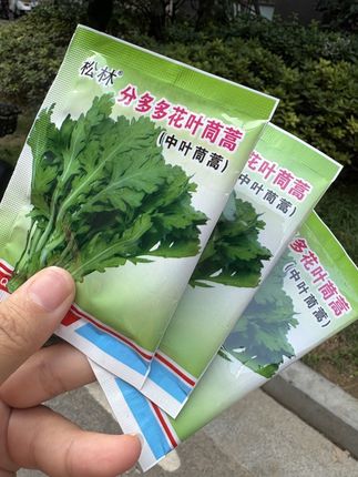 中叶茼蒿种子#优质农产品 #茼蒿 #种子 #三农 #茼蒿种子