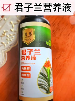 君子兰怎么养#君子兰营养液 #君子兰专用营养液 #君子兰 #君子兰专用肥料