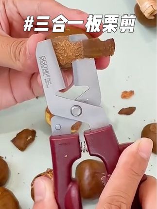 #好物推荐 又到了吃板栗的季节,姐妹们赶紧来抢这个板栗开口器,轻轻一夹,就能轻松给板栗剥层皮,快速又省力,不伤果肉不伤手很安全#居家好物 #生活好帮手 #实用好物 #实用工具