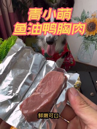 泡过鱼油的鸭胸肉毛孩子很爱吃#养狗人 #狗零食 #宠物零食 #科学养宠