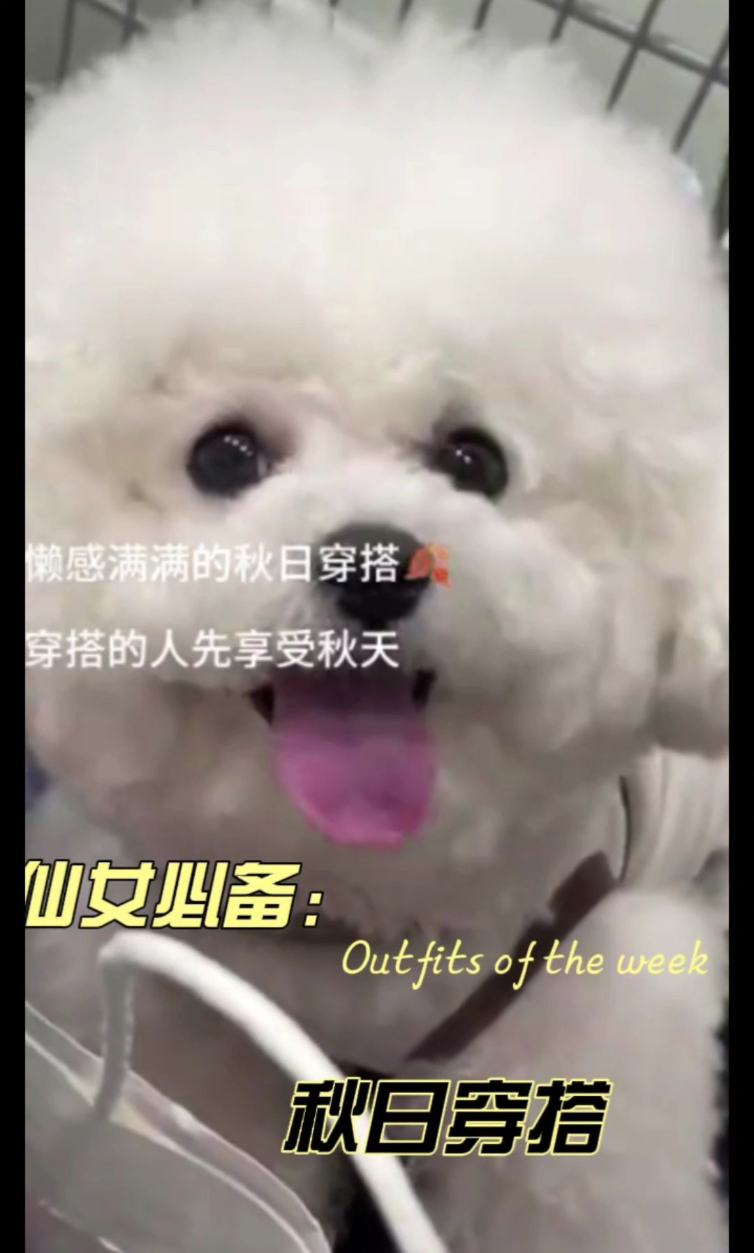 秋日氛围感穿搭来喽#上衣裤子穿搭公式来啦 #秋日毛衣之宽松遮肉版#秋季日常实用穿搭思路分享 #秋日穿搭