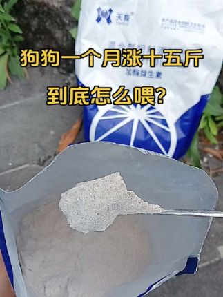 #养殖人加油 #农村创业养殖 #农村创业养殖 #肉狗养殖 #养殖户