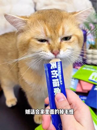 如果刷到还有赶紧抢、库存不多纯纯捡漏#宠物食品 #猫条 #猫条推荐#新手养猫