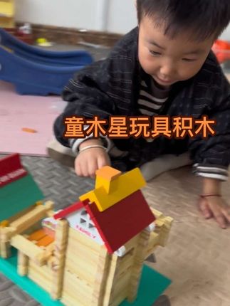 #童木星 可以锻炼宝宝智力 耐心 玩得过程中激发想象力