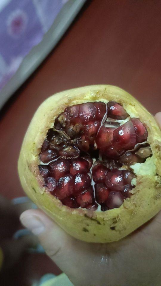 坏了两个大果#我在抖音买买买