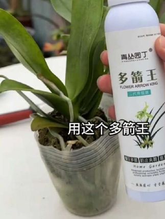 #多箭王