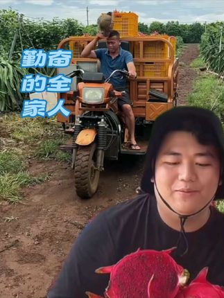 #火龙果 #全进华
