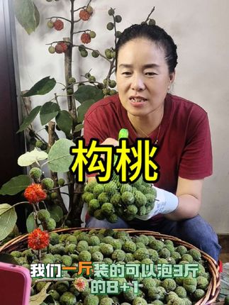 构桃青果还没安排的看过来,正在直播中#构桃