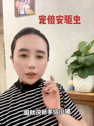 在家就能给小猫做驱虫,既安全又便宜#萌宠出道计划 #宠物知识 #科学养宠攻略 #科学养宠 #宠物科普