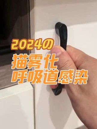 猫鼻支的猫咪老是打喷嚏,当家里没有雾化箱 想到怎么雾化了 太机智了#记录猫咪日常 #我和我的猫 #猫咪雾化#猫鼻支#猫感冒了