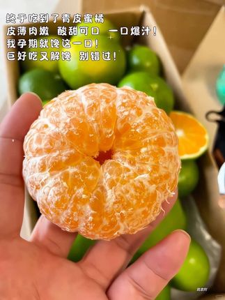 终于吃到了青皮蜜橘,皮薄肉嫩酸甜可口!我孕期就馋这一口!#青皮橘子 #橘子 #优质农产品 #口感特别好 #当季水果
