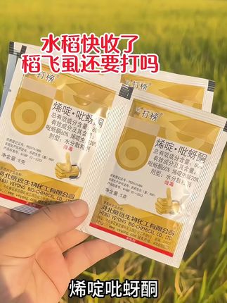 80%烯啶吡蚜酮50代50水稻稻飞虱前期10克 后期破口这遍打20克#水稻种植#稻飞虱#烯啶吡蚜酮 #飞虱#水稻种植技术