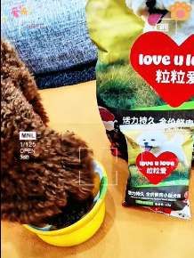 粒粒爱狗粮,满足各个阶段的营养需求,小狗都爱吃#粒粒爱狗粮 #狗粮 @汪喵萌栈
