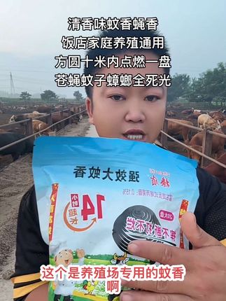 养殖场专用清香味蚊香,高效杀灭苍蝇蚊子蟑螂,鸡鸭鹅猪牛羊狗猫兔,饭店卧室厨房都可以用,养蜜蜂的不能,方圆十米内点燃一盘,两到三分钟见效,五到十分钟苍蝇蚊子蟑螂全部上西天,我家养牛场从来没有苍蝇蚊子蟑螂,厂家直接发货到家你享受优惠批发价#抖音助农 #蚊香 #蝇香 #灭蚊子 #灭蟑螂