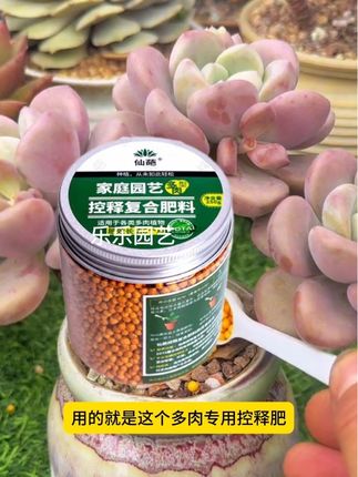 在多肉植物的花盆里撒上一勺,要不了多久,你的多肉植物就会爆满盆,用的就是这个多肉控释肥#园艺 #爱生活爱养花 #多肉植物 #多肉养护 #多肉施肥