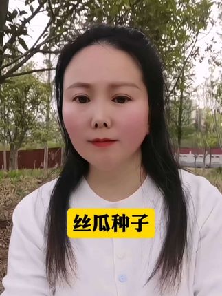 【6.99三包】奶油肉丝瓜种子!秋播丝瓜耐热耐寒丝瓜籽!