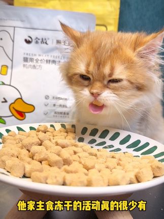 光吃不胖的猫咪别错过了金故家主食冻干满减活动!囤货超划算,快让自己猫咪也实现冻干自由!#萌宠好物 #金故 #金故冻干 #新手养猫