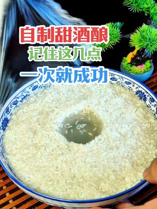 自制甜酒酿,牢记这几点,一次就能成功做出清甜爽口的甜酒酿,来~毫无保留的分享给大家#自制甜酒酿 #好喝到心花怒放 #妈呀太香了