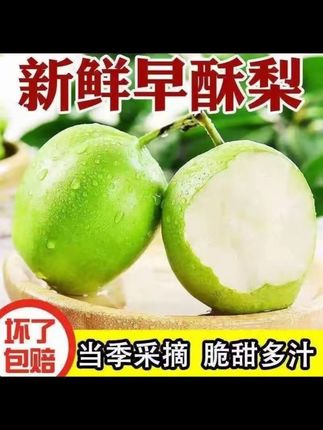 脆甜多汁早酥梨。#好物推荐 #随拍 #早酥梨 #好物推荐 #济南晴姐