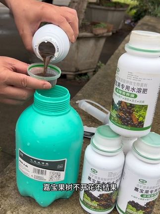 树葡萄(嘉宝果)果树不开花,不结果,黄叶掉叶,怎么办,试试这个嘉宝果水溶肥。叶片喷施,根部浇透,让果树吸收养分,绿叶爆根,促花挂果#嘉宝果水溶肥