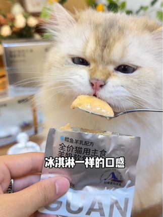 还真就没有小猫能拒绝格吾安的新品主食羊奶软包!买一盒还送陶瓷锅!新品尝鲜快冲#新手养宠 #科学养宠攻略 #格吾安