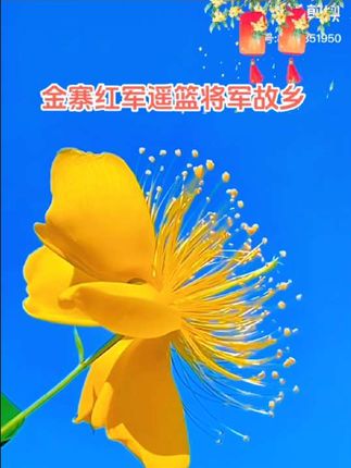 金寨红军的摇篮,将军的故乡,全国文明县城,有梅山水库,红军广场,天堂寨等主要旅游景点,欢迎朋友们来金寨旅游观光!