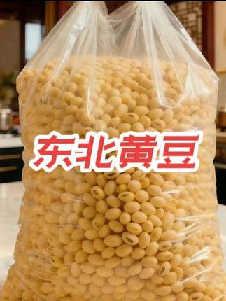 家人们谁懂啊!东北黑土地的生长黄豆🌱,日照充足、土地肥沃,黄豆粒颗颗饱满圆润,自带暖暖的阳光的味道!打出的豆浆,豆香浓郁🥛, 农家自种的实在货,吃的就是原生态的好滋味儿!这才是真正的东北黄豆真正的宝藏豆,吃上一回你就会狠狠爱上了#黄豆 #五谷杂粮 #东北黄豆 #粗粮细作 #好物推荐 @抖加🔥上热门🔥dou+🔥热点宝