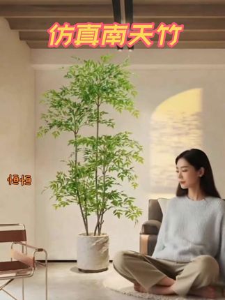 仿真植物南天竹落地盆栽室内大型仿生绿植摆件客厅轻奢装饰花假树 #家居软装搭配 #绿植盆栽 #花卉绿植 #绿植 #绿植花卉
