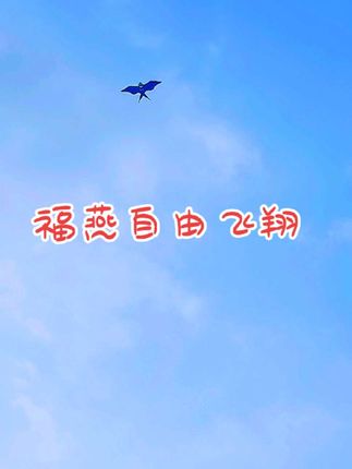 #咏春风筝#潍坊风筝飞起来 #新款燕子风筝#风筝带你飞 #放飞心情拥抱大自然 #放松解压