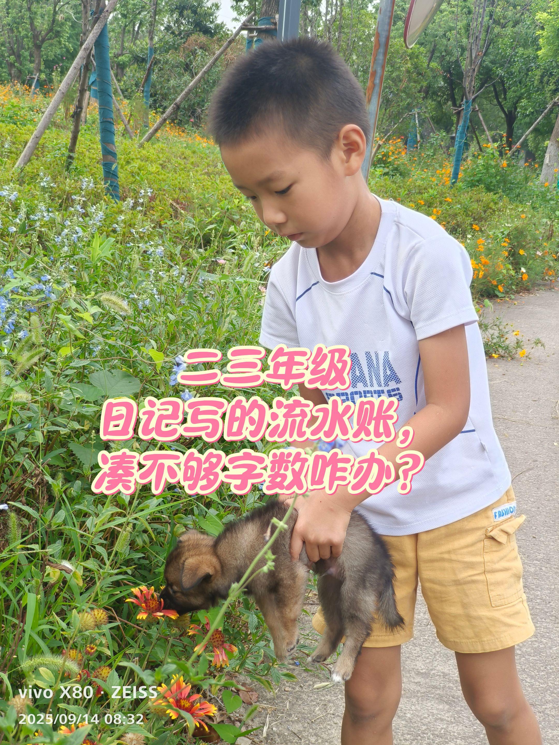 孩子日记写的干巴巴,字数凑不够咋办?建议每天在家练习五感法哦,大头就是每天晨读这个五感法,生活里也可以带孩子随处做做小练笔,看见花草树木都让他从“视觉,听觉,嗅觉,味觉,触觉”里抽两三个去描写下再加点修辞手法,练多了,孩子写日记写作文自然就有话可写了,句子也变得优美起来了! #小学语文 #五感法写作文 #五感法写作技巧 #五感法 #写日记方法
