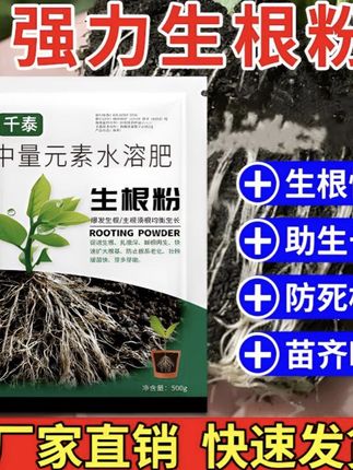 养花先养根,就用生根粉,促进爆发式生根,树木移栽,纤插育苗#生根粉 #生根壮苗 #种植小技巧