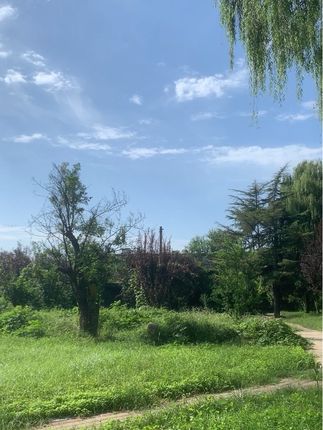 来吧一一康养圣地欢迎您👏👏👏#治愈系风景 #蓝天白云绿草地 #风景如画的地方