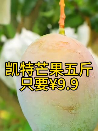 #新鲜采摘 #水果分享 #应季水果 #快来一起尝个鲜 #芒果