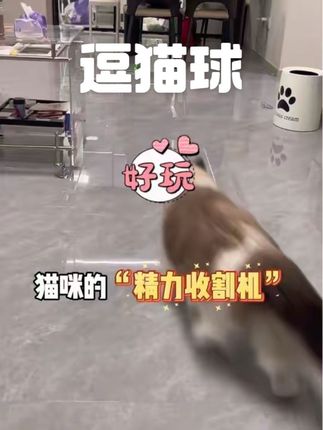 这个逗猫球简直是猫咪的精力收割机! #瓜洲牧 #猫玩具推荐 #猫玩具球 #猫玩具自己玩 #猫玩具测评