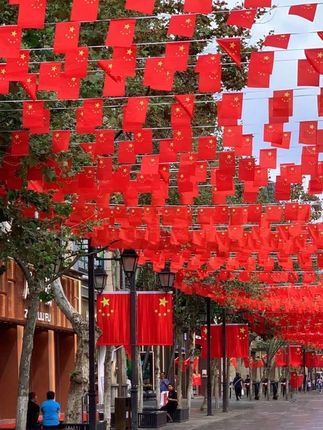 还有几天就到国庆了,这么重要的节日,小区、店面和办公区域可要布置一下!#祖国强大 #中国红 #五星红旗迎风飘扬 #国旗串旗装饰 #我爱我的国