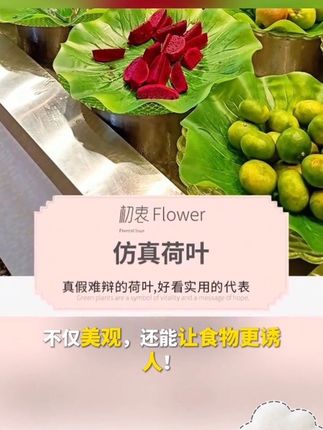 软塑料仿真荷叶道具假菜叶子摆盘垫装饰荷花叶树叶放水果摆台绿色 #花小钱办大事的家居改造 #好物推荐分享 #装饰#荷叶#仿真荷叶
