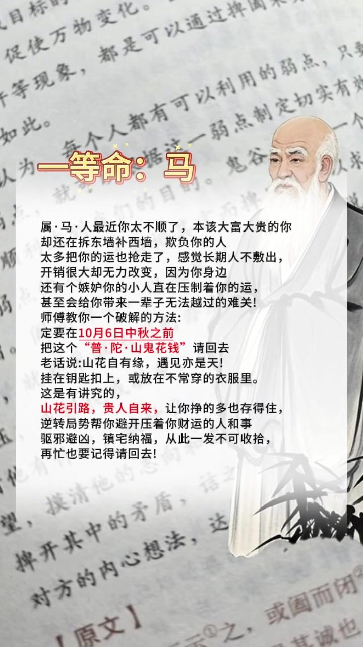 #马 #属马的 #生肖马