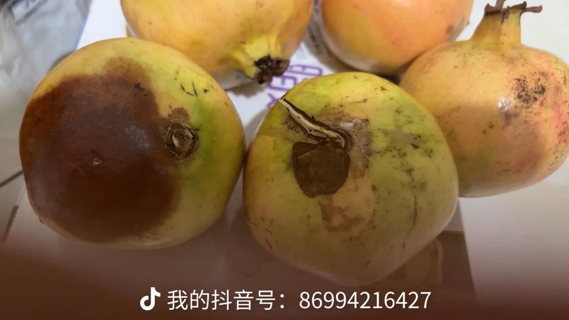梨是软的,坏的,不知道放了多久了,买的石榴也坏了3个,#我在抖音买买买