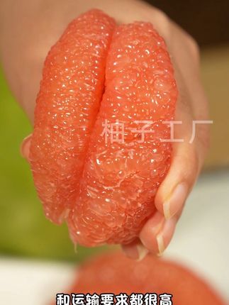 泰国红宝石青柚,错过就要等明年,果肉红如宝石,粒粒饱满,晶莹剔透,口感比普通柚子更加清甜!#泰国青柚 #红宝石青柚 #柚子 #水果