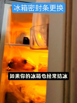 冰箱结冰那是因为密封条不严谨了,换个密封条就好了,直接粘就行,方便简单#冰箱密封条#冰箱密封条#冰箱密封条更换 #冰箱密封条 #冰箱结冰