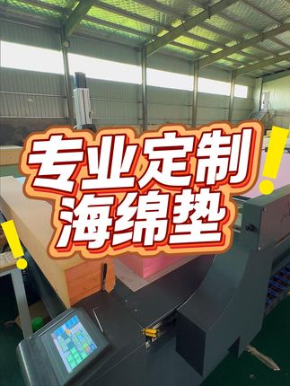 再也不怕海绵塌陷了!四季通用高密度高回弹沙发垫来了! 家里沙发换上这个高密度加硬海绵,再也不怕一坐一个坑,起来不回弹了! #沙发垫 #沙发垫定制 #高密度海绵 #高密度海绵垫 #海绵沙发垫定制