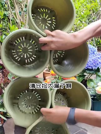 种杜鹃月季玫瑰不用愁,透气彩色花盆来帮忙! 冬天养植物一定要选对容器!这款花盆不仅颜值高,还能保温防寒!#花卉绿植#阳台种植#养花#树脂花盆#年轻人流行用奶茶杯种绿植