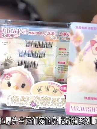 明星同款鸟啾啾!上眼自然妆感升级!大盒超划算哦! #假睫毛 #心愿先生动物系列 #免胶水假睫毛 #韩系妆容 #睫毛分享