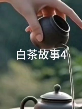 荒野老枞白茶,一口花香果香,回味无穷! 喝过很多种茶叶了,但还是觉得这款好!有淡淡的花香味、水果味,入口柔润甘甜。#这届年轻人在景德镇疗工伤#减肥界有自己的邪修#被王源广州vlog馋哭了#邪修做饭有多简单#各地凉快美食申请出战