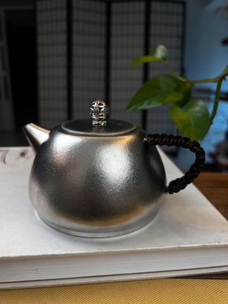 .纯钛精品泡茶壶推荐,石瓢,西施,水平,宫灯。你更喜欢哪一个 #好物推荐🔥 #茶具 #茶具好物推荐 #旅行茶具 #茶壶