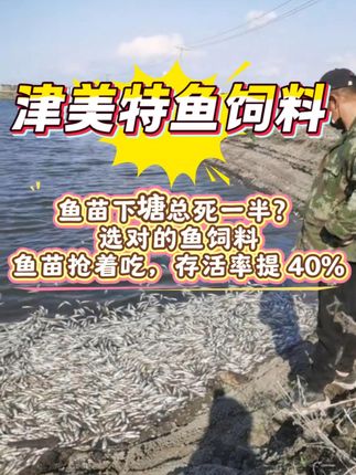 津美特混养鱼饲料,上浮料不污水 源头工厂发货包邮,没有中间商赚差价#鱼饲料 #鱼塘养殖 #水产养殖 #萌宠好物 #抖in萌宠计划