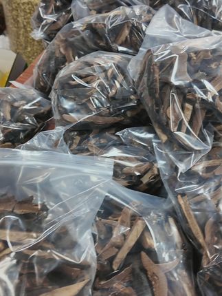 深山黑灵芝煲汤泡酒,滋补养生好搭档! 不苦的云南深山仿野生黑灵芝~#强烈推荐 #滋补养生 #泡酒好材料 #源头好货 #大自然的馈赠