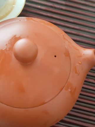 家里来了客人,这款手工紫砂壶泡茶超有面子! 喝茶总担心水温不够?这款茶具帮你解决!#紫砂壶 #今天你喝茶了吗 #凤鸣壶 #紫砂茶壶 